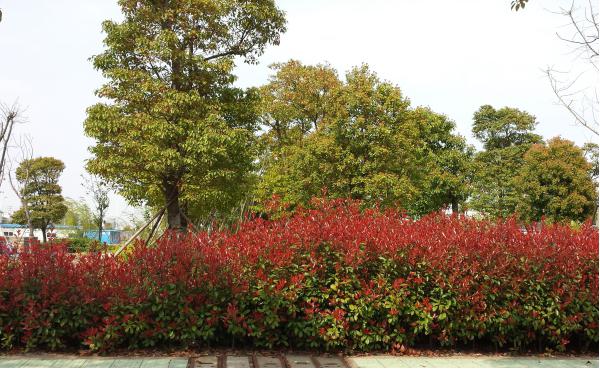 �������ݞ��^(q��)�����M���ϰ����d�� һ·һ�����ֽ����d�ȶ�·һ�d����·�����o�֎�����