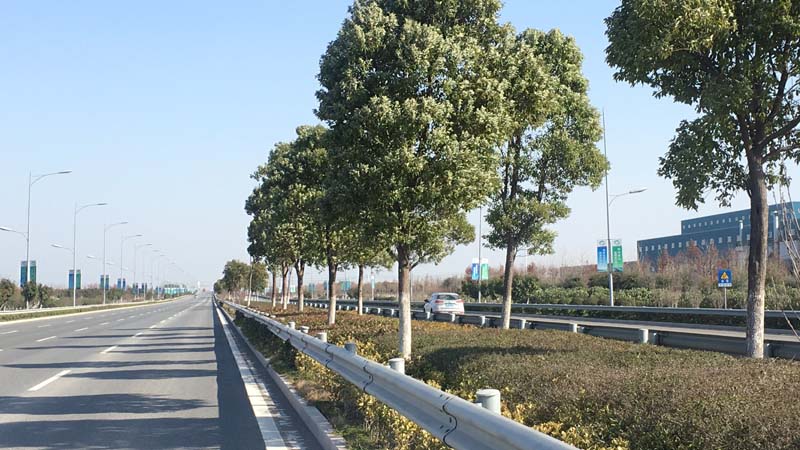 2016�꺼�ݞ����ݽ������g�_�l(f��)�^(q��)�G���B(y��ng)�o�Ŀ��˖|���^(q��)���I���³��B(y��ng)�o�Ŀ