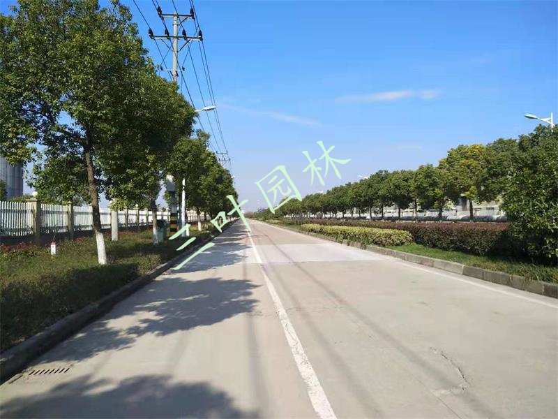 2019-2020��Ⱥ��ݞ����ݽ�(j��ng)��(j��)���g(sh��)�_�l(f��)�^(q��)�G���B(y��ng)�o(h��)�Ŀ�����꣩���(bi��o)